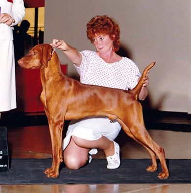 Image of Fantazsa's Lazer Blade