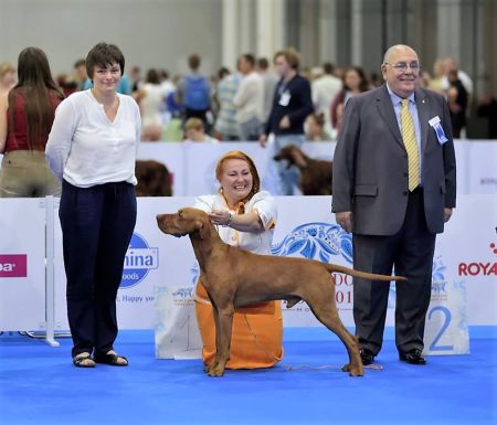 Image of Asper Autumnus Liberi