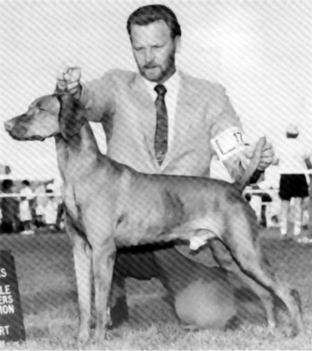 Image of Mehagian's Prize Package