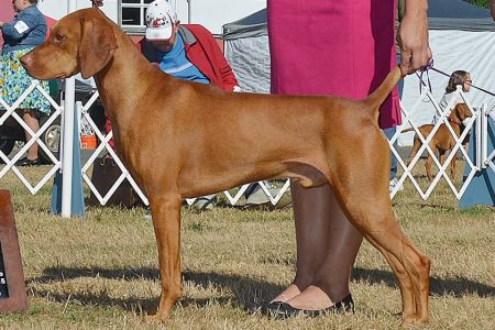 Image of Jaybren's Trouble In Mind