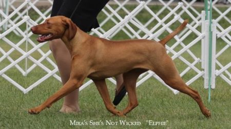 Image of Mira's She's Not Wicked