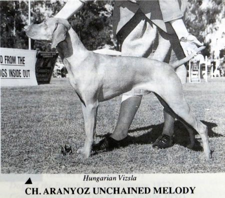 Image of Aranyoz Unchained Melody
