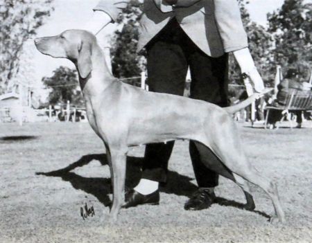 Image of Aranyoz Atlanta