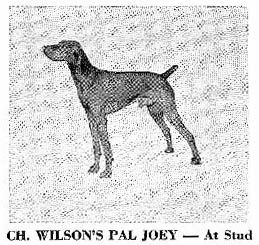 Image of Wilson's Pal Joey