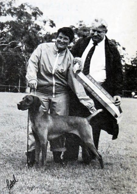 Image of Hanafor Ashburton