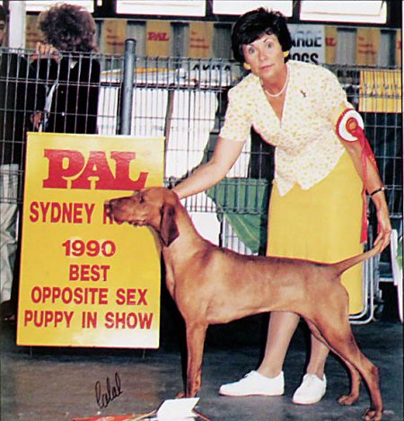 Image of Hanafor Lady Wychbold