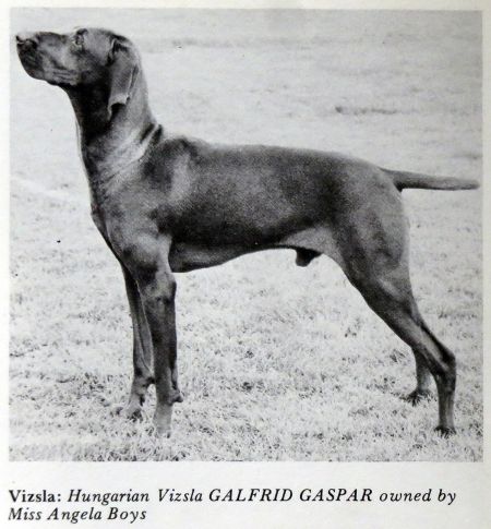 Image of Galfrid Gaspar