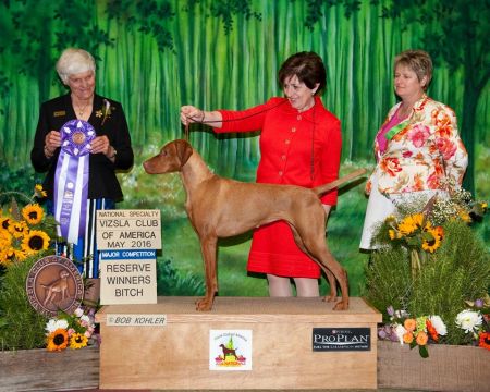 Image of Bayview N Opus One's La Forza Del Destoni