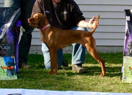 Image of CK Too Hot To Handle - Cayenne