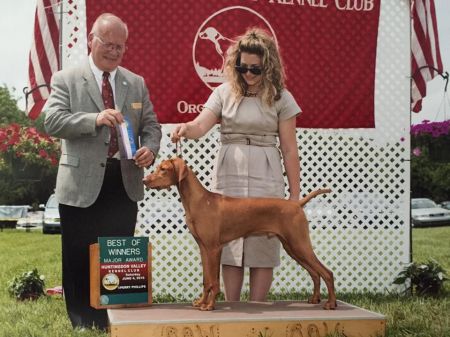 Image of Rhapsody's Oxford Comma