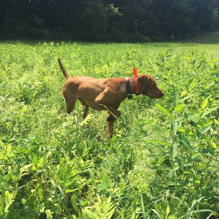 Image of Widdershins Islay Barley