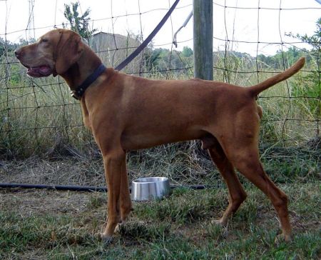 Image of Avia's K-Bateman