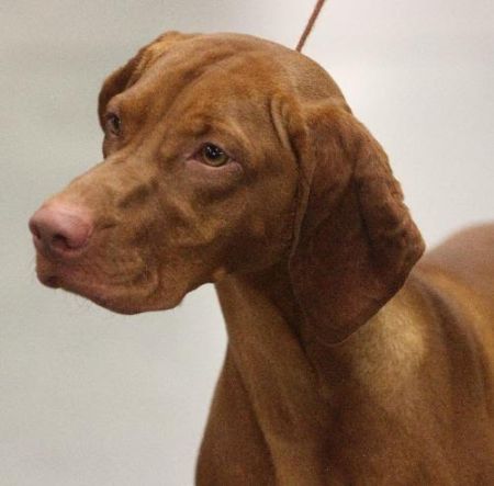 Image of Talisan's Lucky Strike