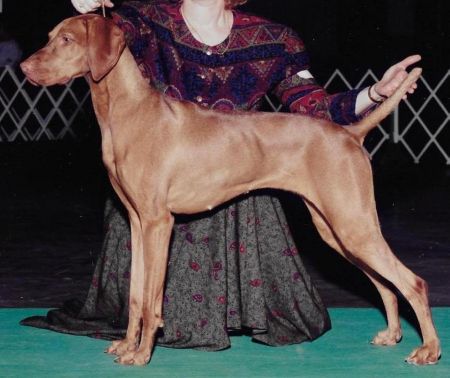 Image of Vizion Of Russet Dawn