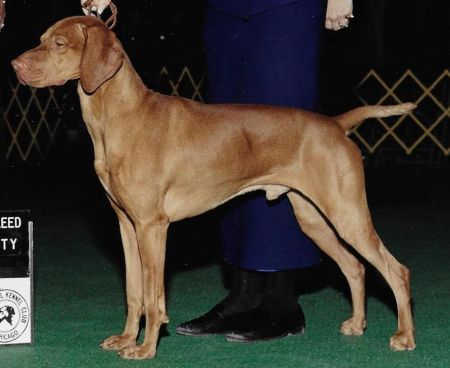 Image of New Dawn's Blue Sky