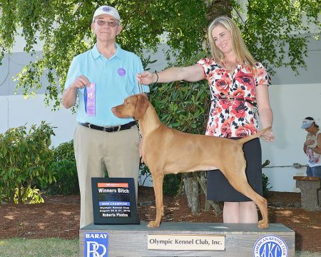 Image of Jaybren's Unbelievable Payton Manning