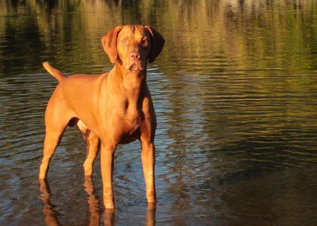 Image of Jaybren's Trouble In Mind