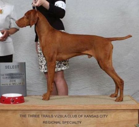 Image of Hilldale's Winter Warrior Cmf