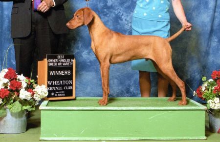 Image of Jnek's Addicted To Love