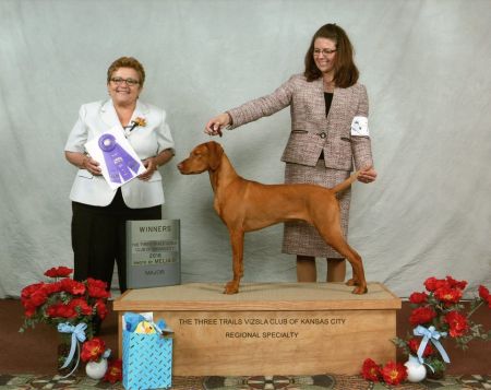 Image of Jnek's Riding with The King