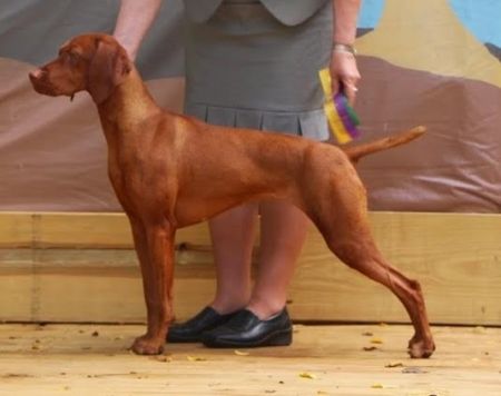 Image of Derby's Till I See You Again