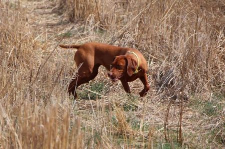 Image of Derby's Till I See You Again