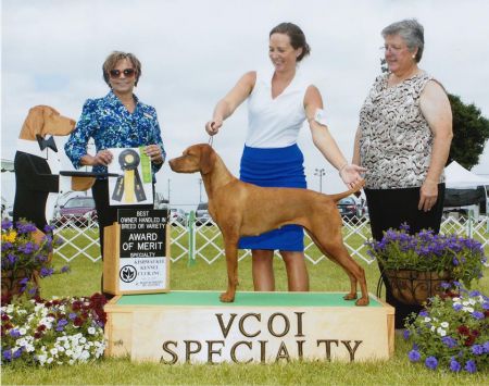 Image of Jnek So What's Your Point