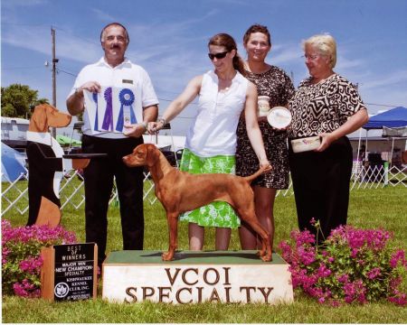 Image of Jnek So What's Your Point