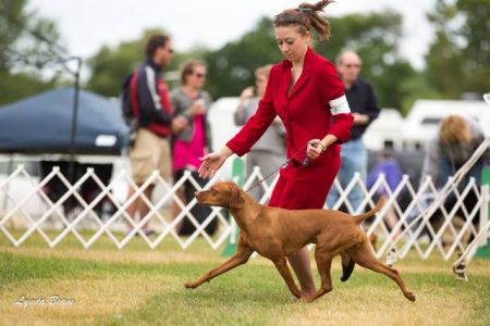 Image of Jnek So What's Your Point