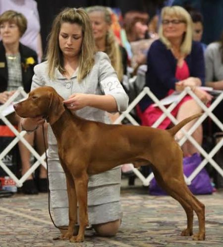 Image of Happy Tails Calix