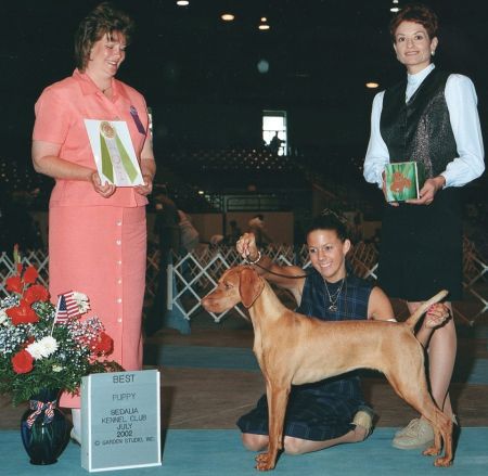 Image of Jnek's Royal Elegance