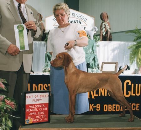 Image of Jnek's Royal Elegance