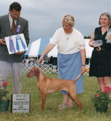 Image of Jnek's Royal Elegance