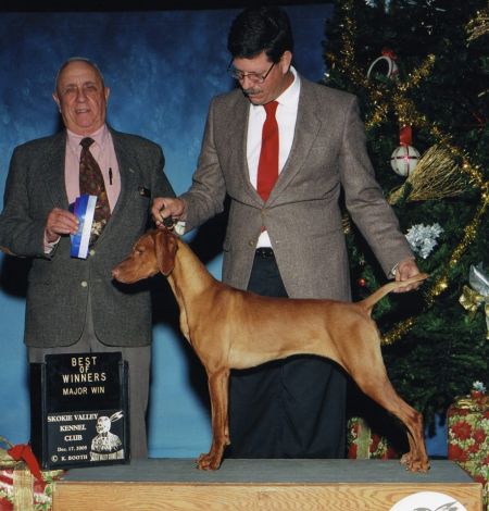 Image of Jnek's Keep On Dancing