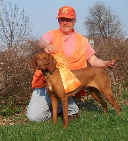 Image of Jnek's Keep On Dancing