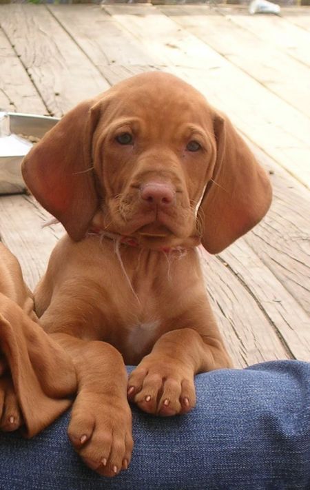 Image of Jnek's Keep On Dancing