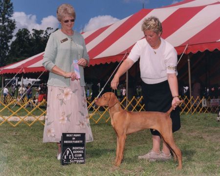 Image of Jnek's Steam Heat