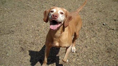 Image of Jnek's Steam Heat