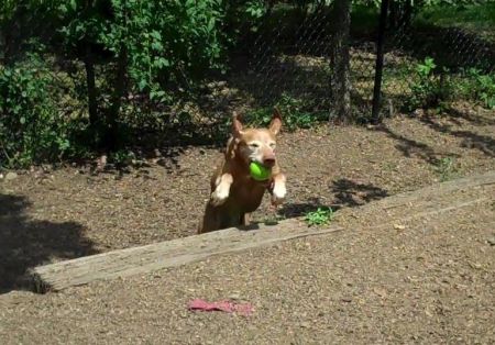 Image of Jnek's Steam Heat