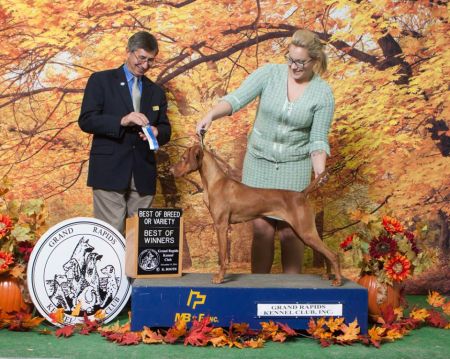 Image of Mira's She's Not Wicked