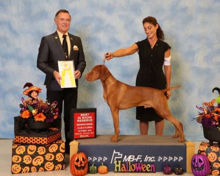 Image of Cheswynd's Fire And Water