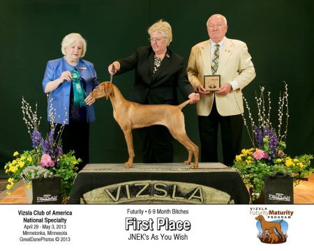 Image of Jnek's As You Wish