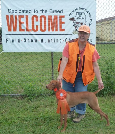 Image of Jnek's As You Wish