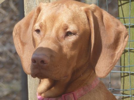 Image of Jnek's As You Wish