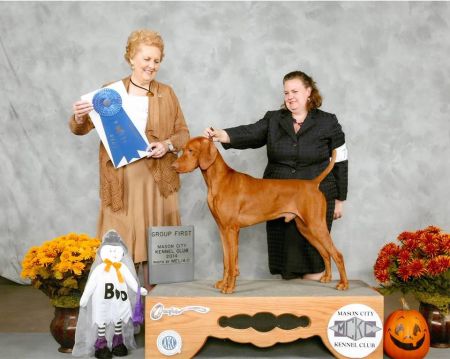 Image of Cruiser's All The Right Moves