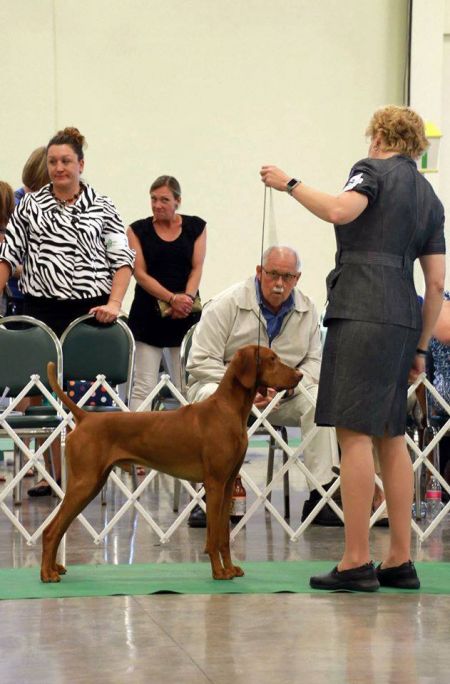 Image of Cruiser's All The Right Moves