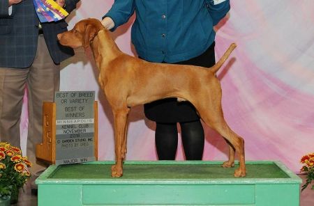 Image of Kizmar Benchmark Livin' On The Dark Side