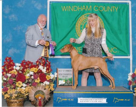 Image of Heelmark's Taj Royale