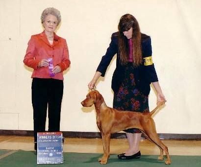 Image of Tierah's Chinnook Cacoa