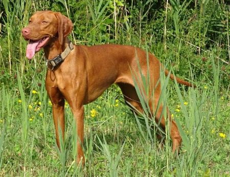 Image of Eldgjá Hekla Locura